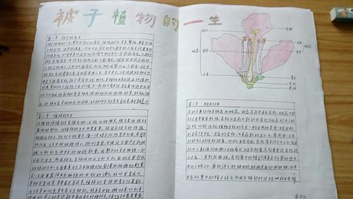 关于植物的科普手抄报；科普手抄报一等奖图片