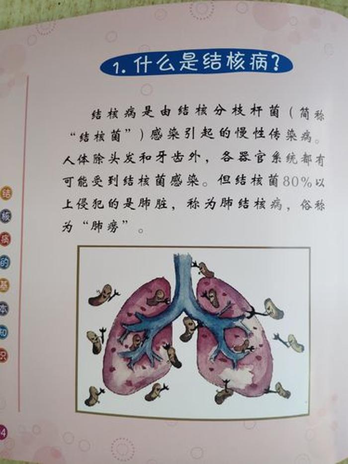 有趣的知识科普短视频，科普小视频