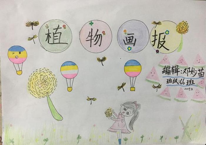 儿童植物科普活动的主题 植物主题画