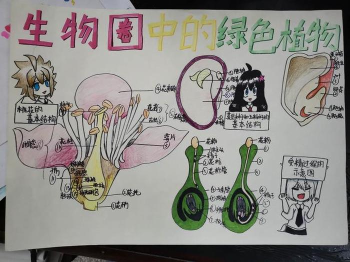生物性方面科普趣味知识，生物学科普趣味小知识