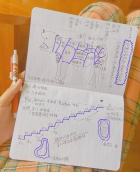 趣味冷知识科普活动；100个超级有趣的冷知识问答