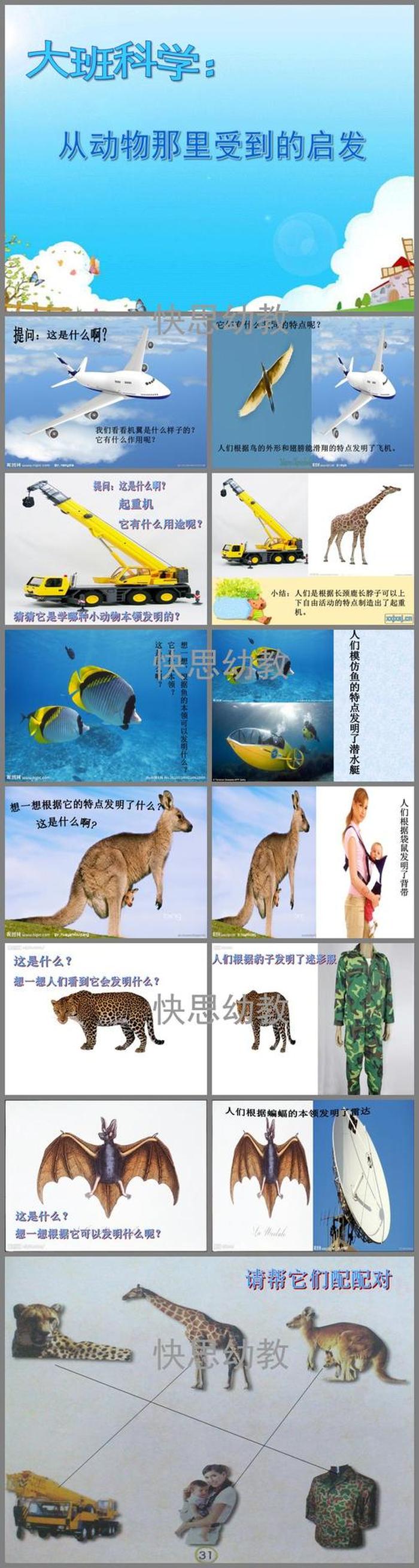 100个有趣的科学小知识图片 科学小常识100条