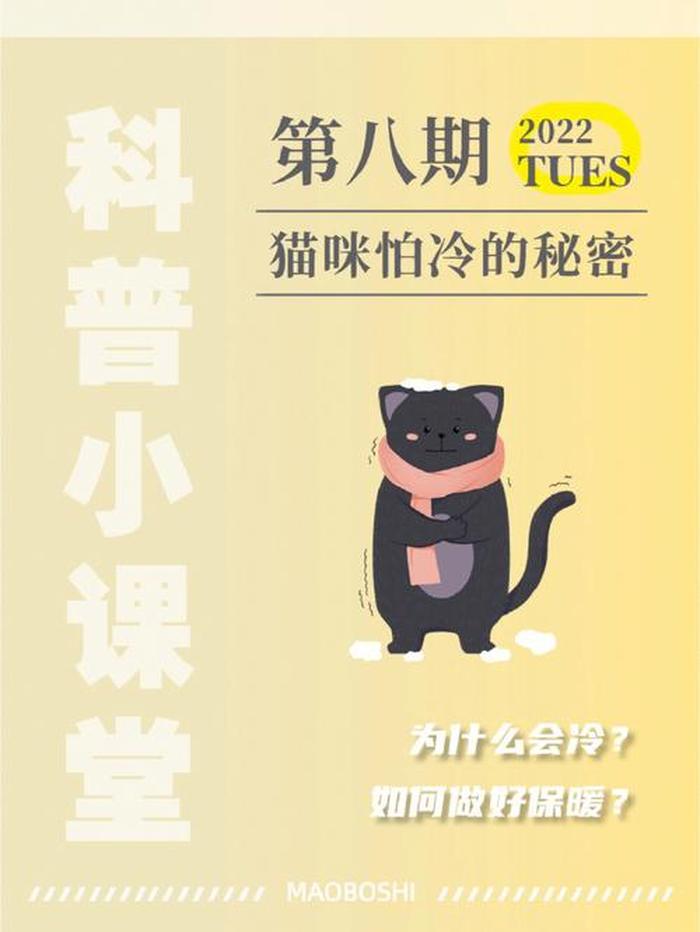 冷知识科普网站怎么做 - 科普冷知识