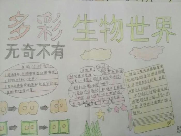 有趣简短的科普；有趣的生物科普小知识