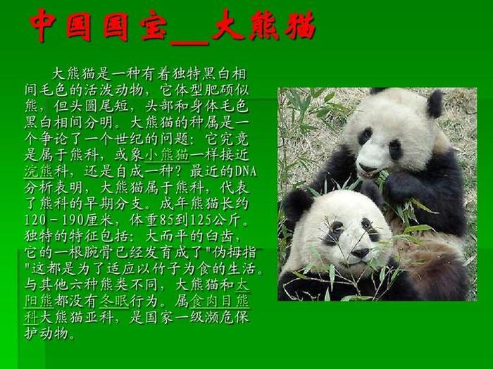 大熊猫百科知识有哪些，大熊猫知识