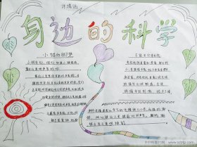 科学小常识 小学生三年级；我身边的科学小知识