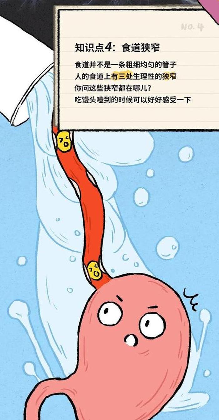 人体哪些有趣冷知识；一些有趣的医学冷知识