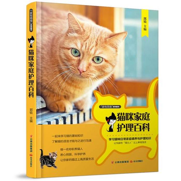 猫咪每日科普知识 猫咪百科知识