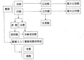知识是啥意思 知识的基本概念