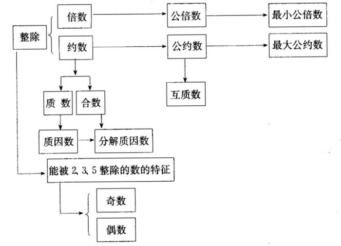 知识是啥意思 知识的基本概念