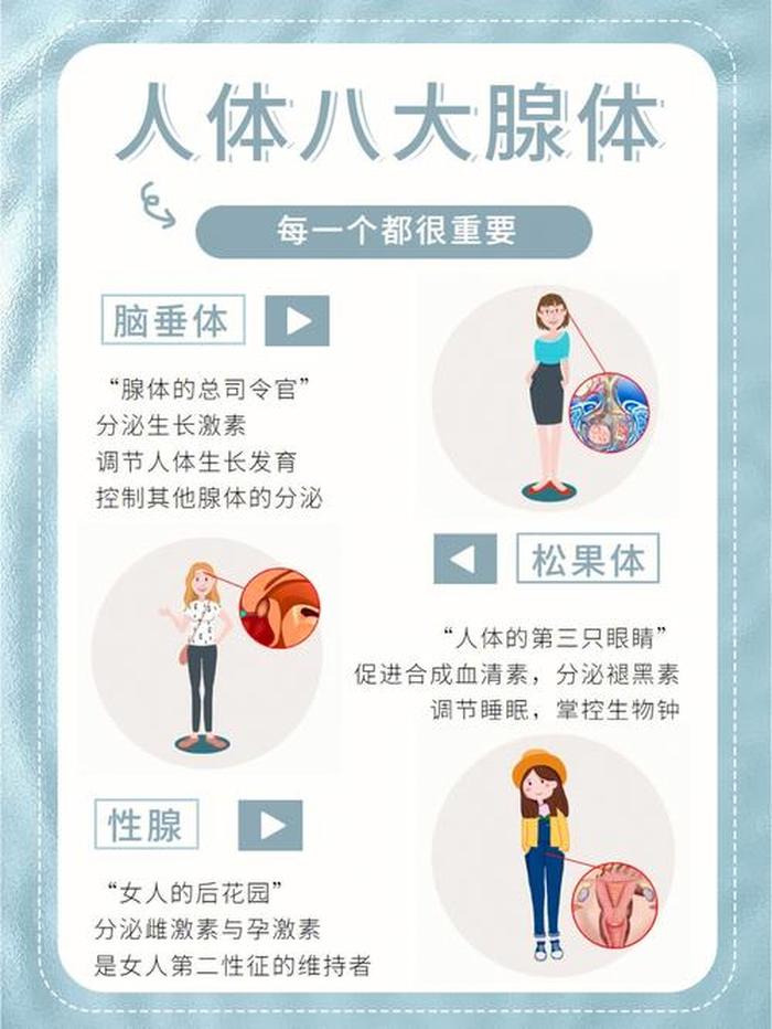 人体健康小知识有哪些，人体知识科普