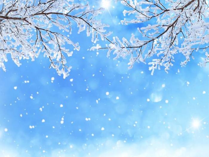 雪的知识、雪的资料和图片