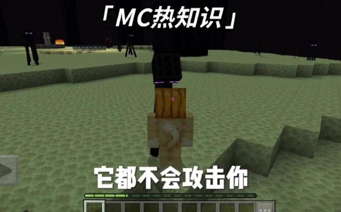 我的世界冷知识大全 - 我的世界中的陷阱种类