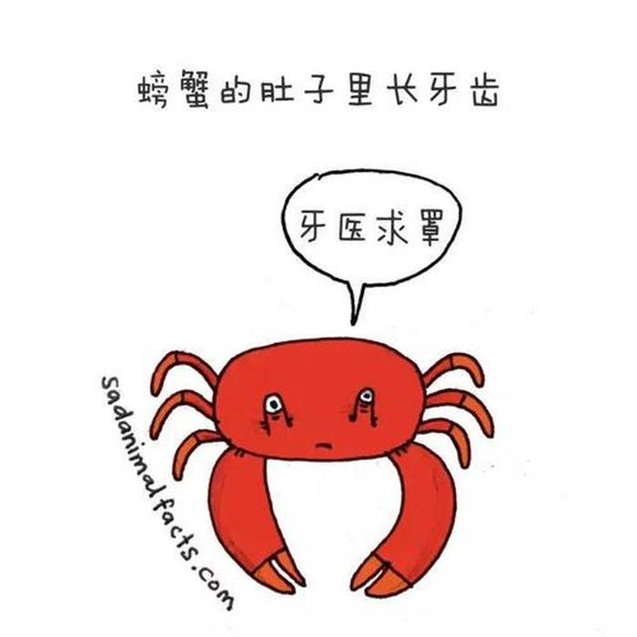 100个恐怖的冷知识、十个冷知识