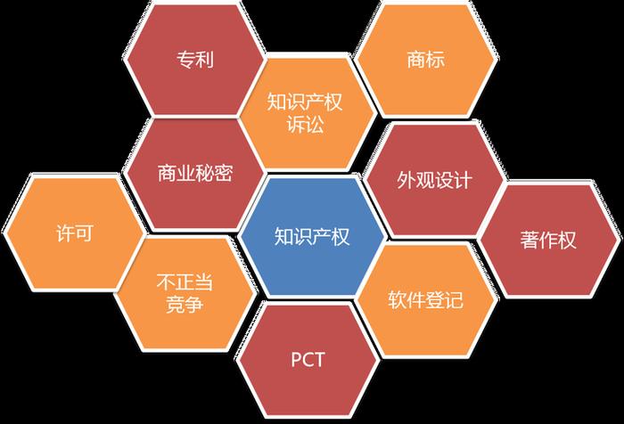 知识产权诉讼代理意义；知识产权的基本性质有
