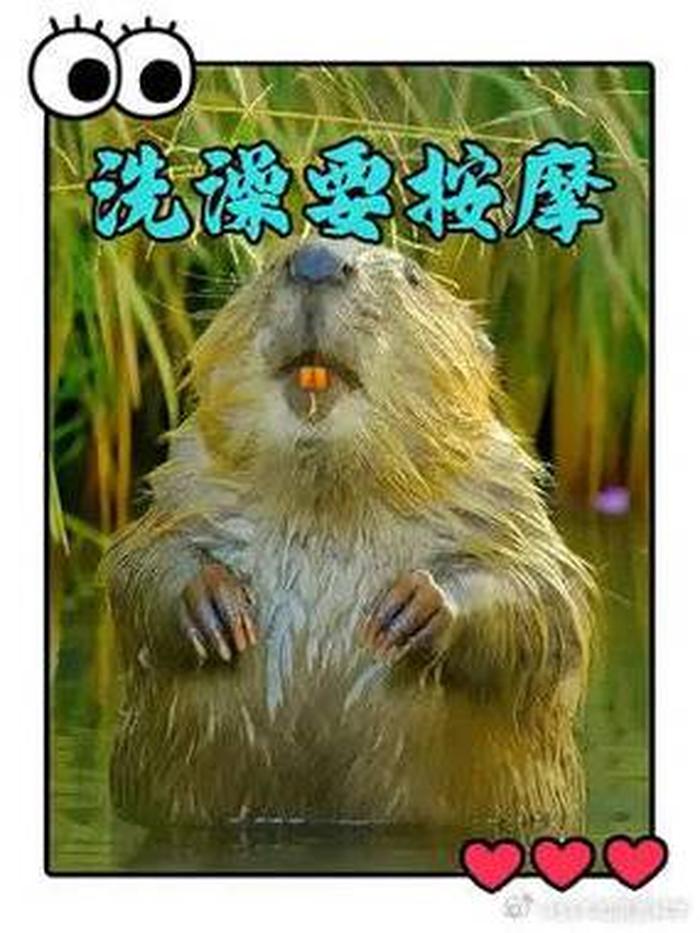 趣味冷知识科普搞笑视频；10万个冷知识小视频