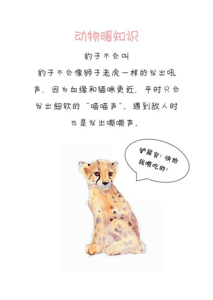 揭秘八个有趣的冷知识 生物有趣冷知识