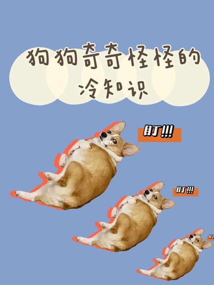 奇怪的知识冷知识、那些稀奇古怪的冷知识
