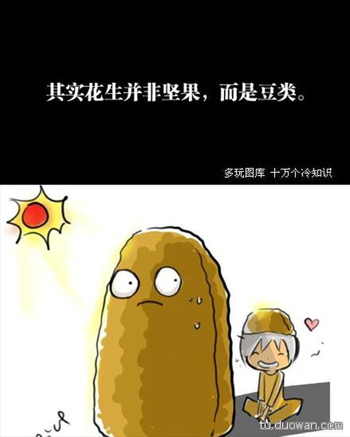 科普5个奇葩冷知识 - 爆笑冷知识