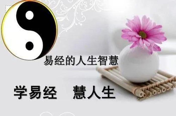 智慧比知识更重要例子；有知识没有智慧的例子