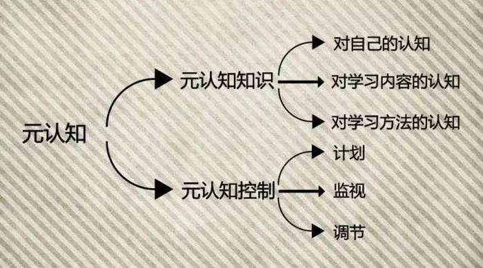 知识的概念是指 元认知知识