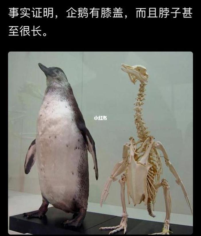 揭秘八个有趣的冷知识 生物有趣冷知识