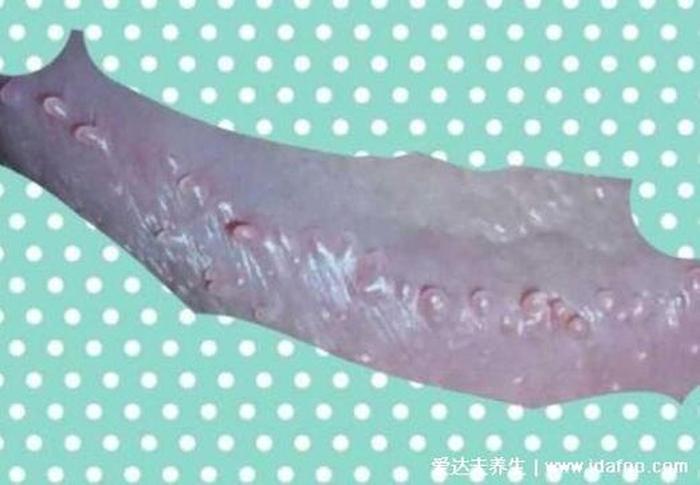 生活中的基本形 生活中有什么是圆顶形