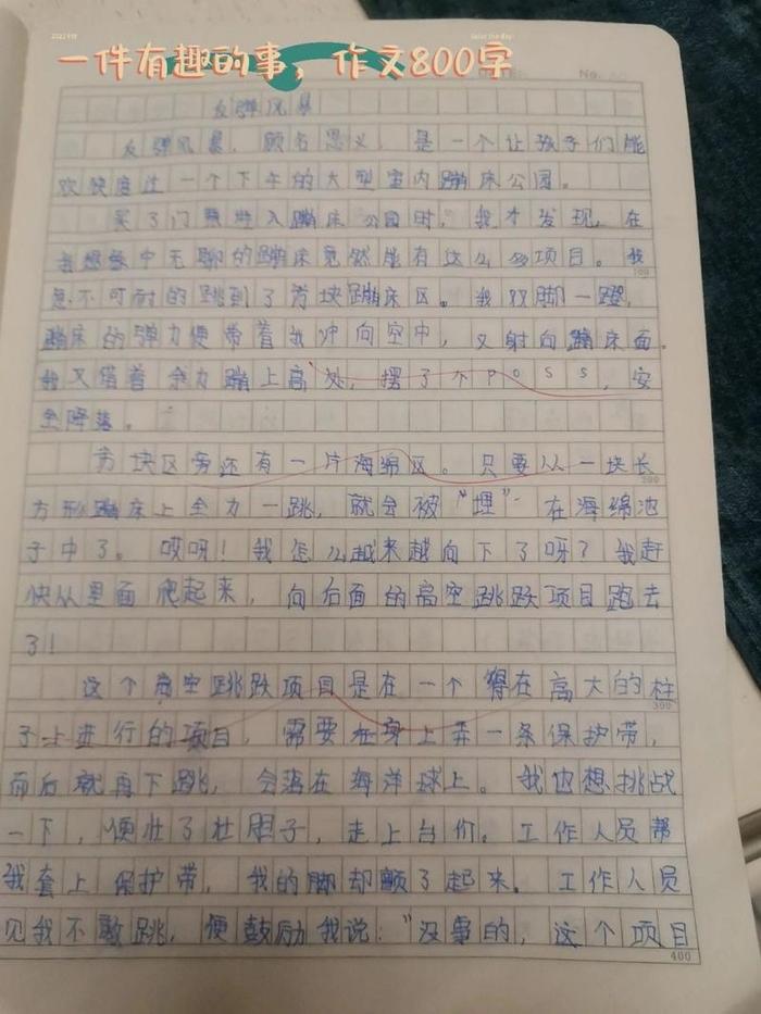 有趣的问题作文，有趣的问题作文800字初中