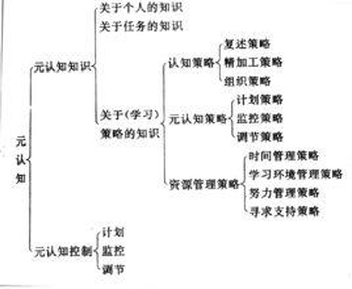 知识的概念是指 元认知知识