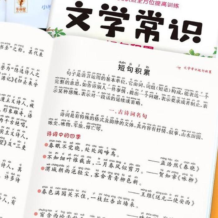 小学生必背的知识点、小学必备基础知识