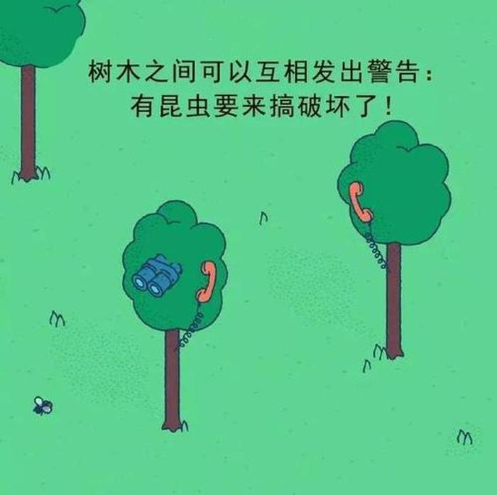 科普冷知识图片 - 100个超级有趣的冷知识图片