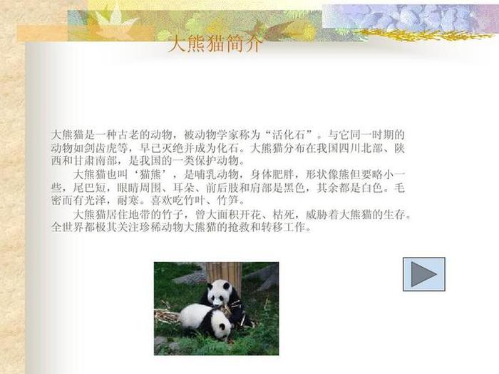 大熊猫科普知识资料大全 关于大熊猫的30个小知识