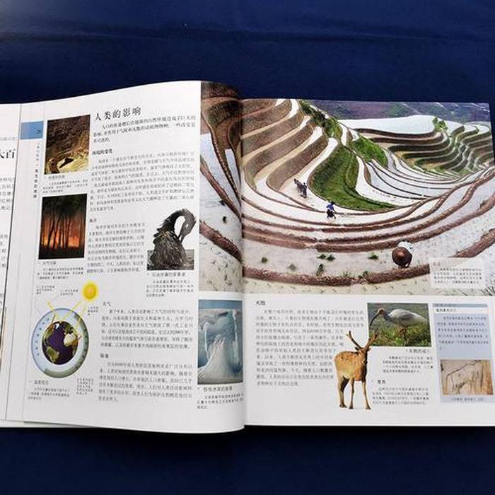 科学科普知识大全书 - 生物科普知识大全