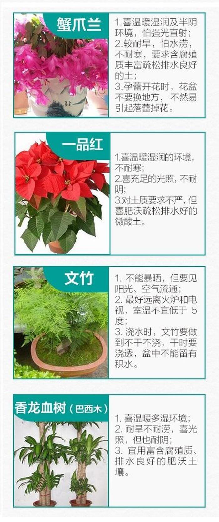 生活小知识养花、日常生活科普小知识