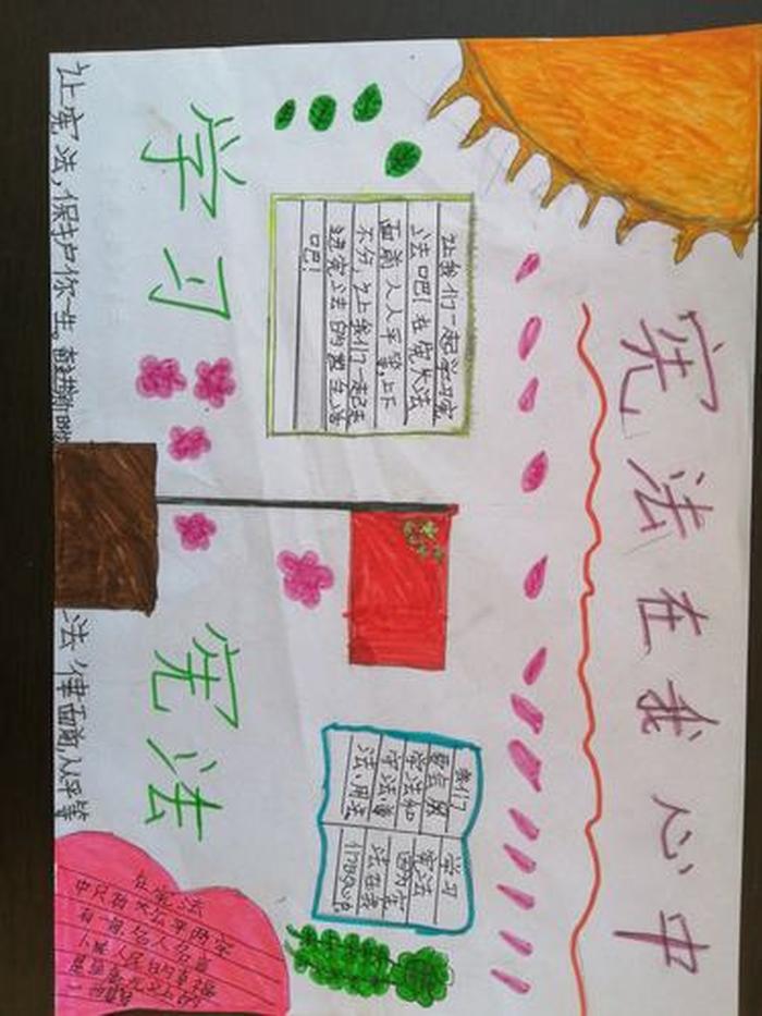 小学生普法知识内容，小学生必懂的宪法知识