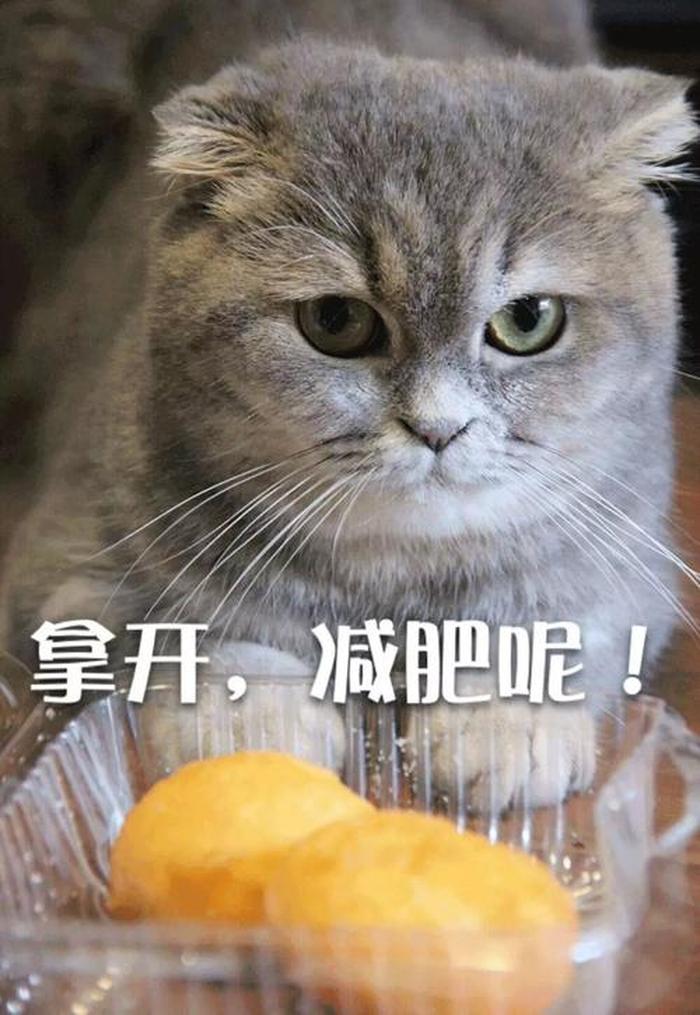 每天一个生活小技巧表情包，生活小妙招配图