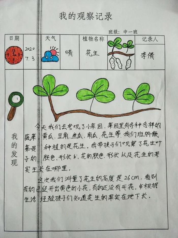 生活中的观察小发现；生活中的观察发现