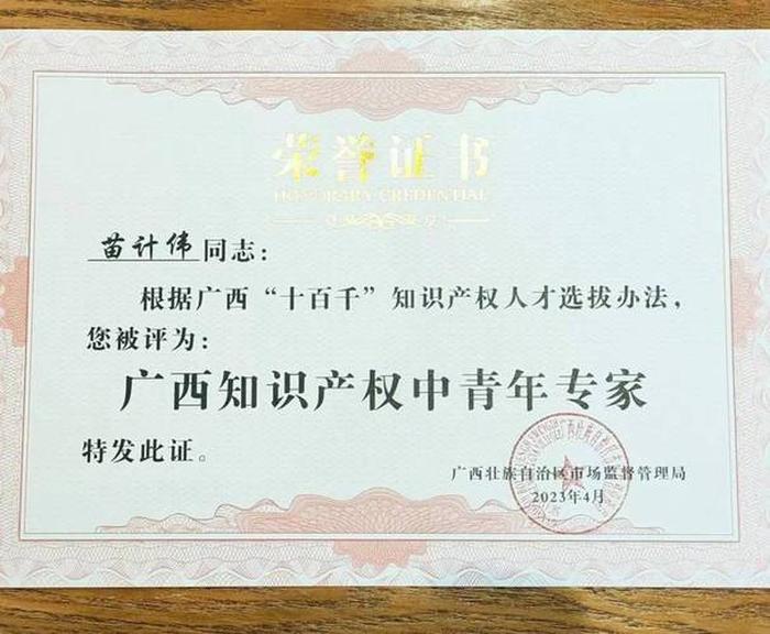 知识产权代理专属顾问；专利代理师助理