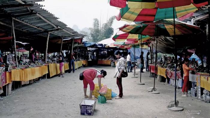 中国知识大全63集视频、中国集巿大全