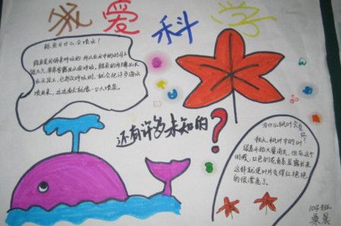 适合小学生的科普内容大全，适合小学生的科普内容