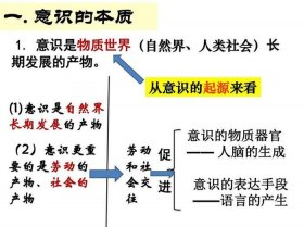 知识的理解性与整体性图片、意识的本质知识框架图