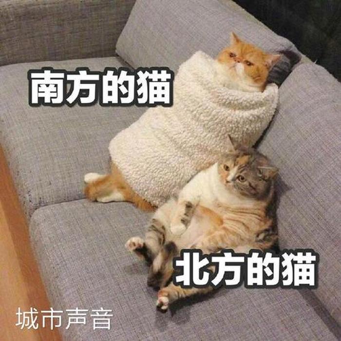 生活中的奇葩事情、现实中奇葩事