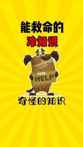 科学冷知识200字怎么写 - 科技的技字怎么写