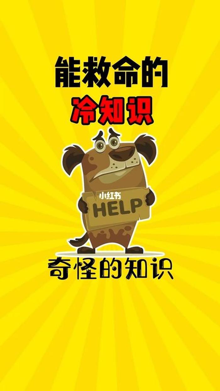 科学冷知识200字怎么写 - 科技的技字怎么写