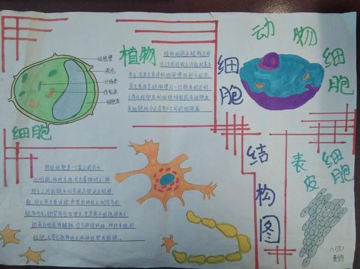 生物小知识有趣；生物相关的趣味小知识