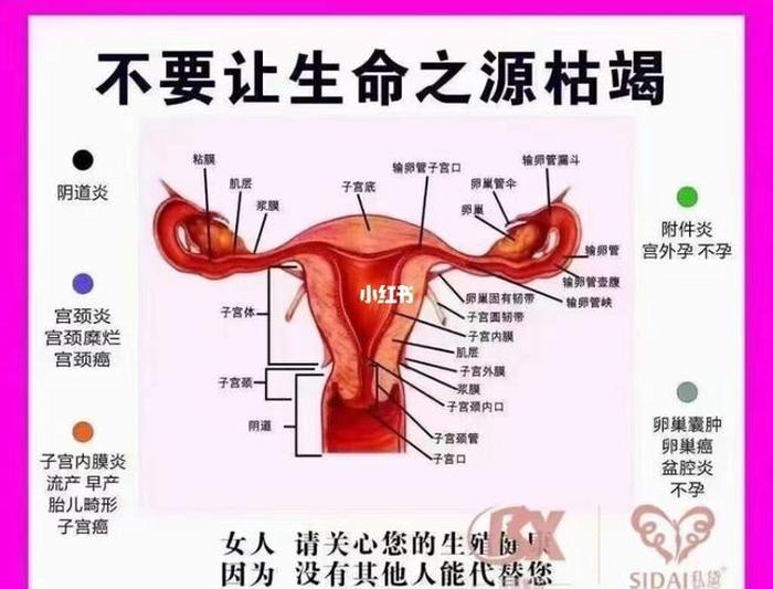 私密健康知识常识 - 生理健康知识