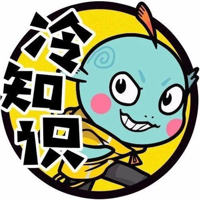 冷知识网站素材 - 图片素材网站