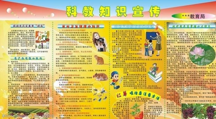 简单科普小知识图片，幼儿科普小知识