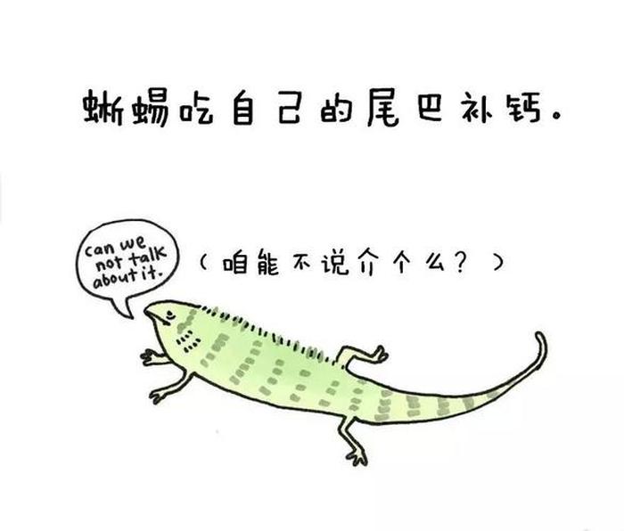 热门冷知识入门大全，你绝对不知道的冷知识