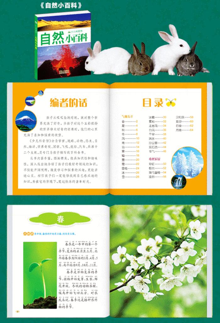 百科知识大全汇总图 一年级百科知识汇总